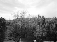 /album/la-bobila-de-viladecans/efectos-bobila-3-jpg/